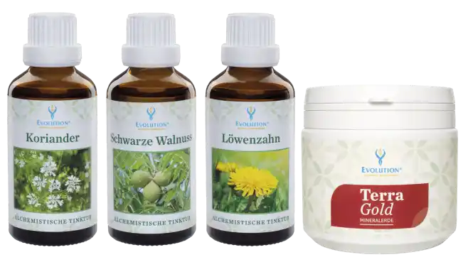Abbildung des "Entgiften" Sets von EVOLUTION International - bestehend aus den Produkten "Koriander Tinktur", "Schwarze Walnuss Tinktur", "Löwenzahn Tinktur" und der "Terra Gold Mineralerde"