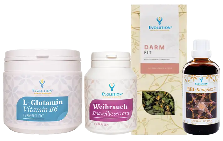 Darstellung des Darmfit Pakets von EVOLUTION International - mit den Produkten: L-Glutamin Vitamin B6, Weihrauch Boswellia serrata, Darm Fit Bio-Kräutertee und Kardinaltinktur REI-Komplex 2
