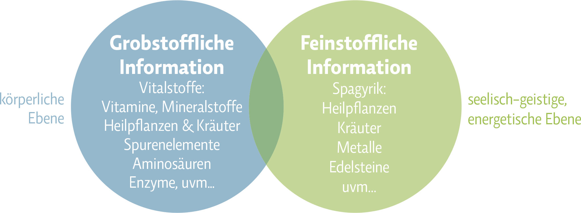Venn-Diagramm: grob- und feinstoffliche Informationen, körperlich-geistig.