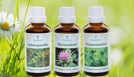 produkte kraeuter mono tinkturen evolution