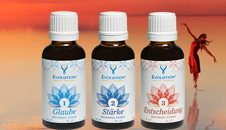 produkte seelenheil essenzen evolution