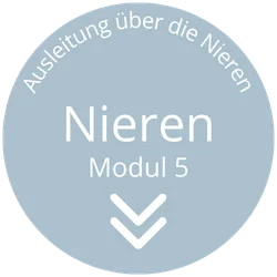 webinar ausleitung ueber die nieren modul5