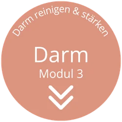 webinar darm reinigen und staerken modul3