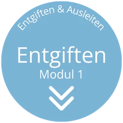 webinar entgiften und ausleiten modul1