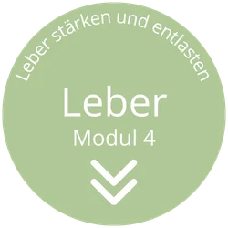 webinar leber staerken und entlasten modul4