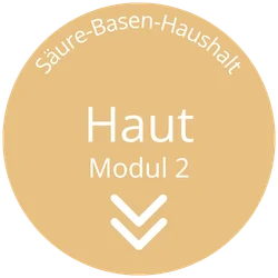 webinar sauere basen haushalt modul2