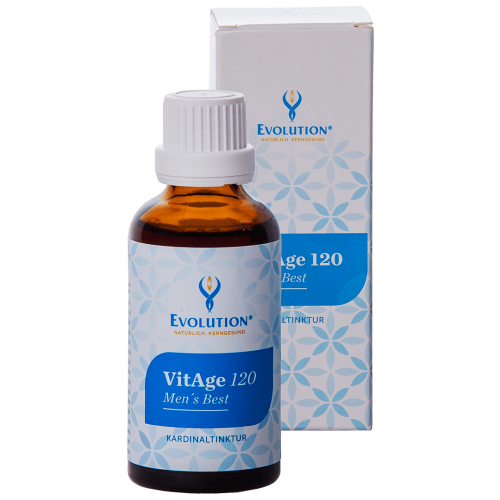 Abbildung des Produkts "Vitage 120 Men's Best Tinktur" von EVOLUTION International, das in einer kleinen, braunen Glasflasche mit weißem Verschluss abgefüllt wird