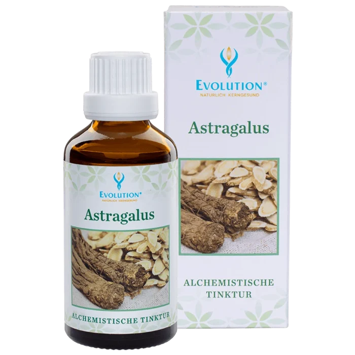 Astragalus Tinktur