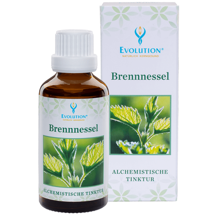 Brennnessel Tinktur