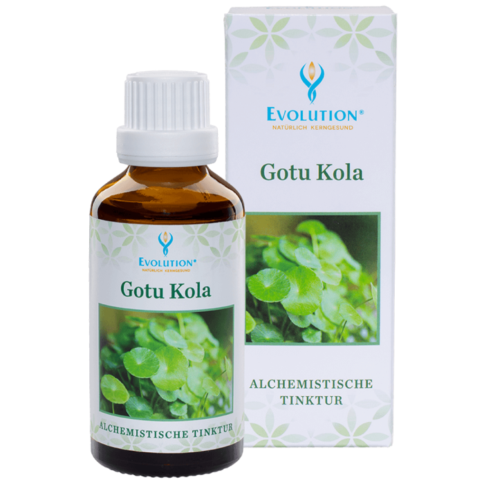 Gotu Kola Tinktur