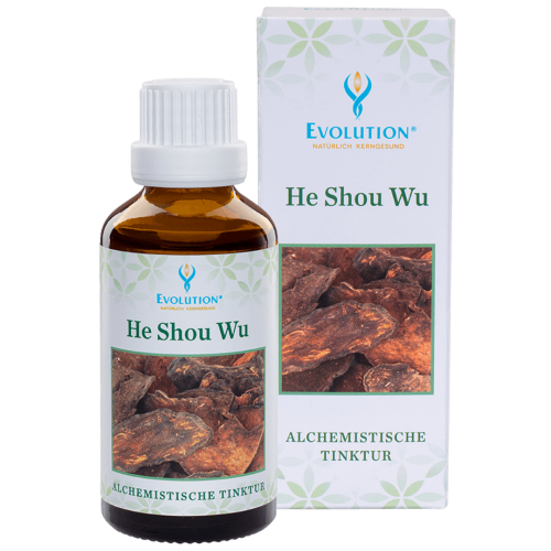 Abbildung des Produkts "He Shou Wu Tinktur" von Evolution International, das in einer kleinen, braunen Glasflasche mit weißem Verschluss abgefüllt wird