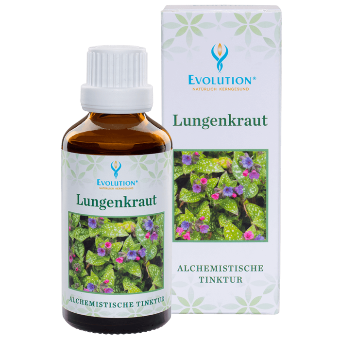 Lungenkraut Tinktur