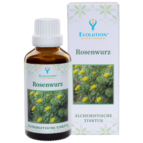 Abbildung des Produkts Rosenwurz Tinktur von EVOLUTION International und Auflistung der gesundheitlichen Vorteile für die Psyche, Energie und ganzheitliche Stärkung