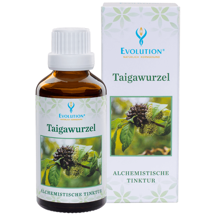 Abbildung des Produkts Taigawurzel Tinktur von EVOLUTION International und Auflistung der gesundheitlichen Vorteile bei Stress, für das Immunsystem und das Hormonsystem