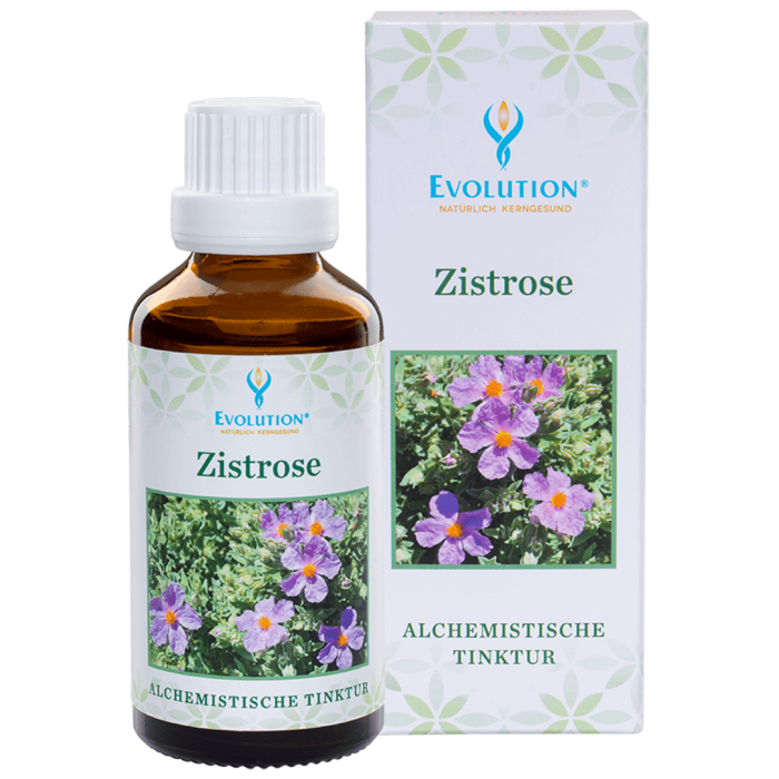 Abbildung des Produkts "Zistrose Tinktur" von EVOLUTION International, das in einer kleinen, braunen Glasflasche mit weißem Verschluss abgefüllt wird.