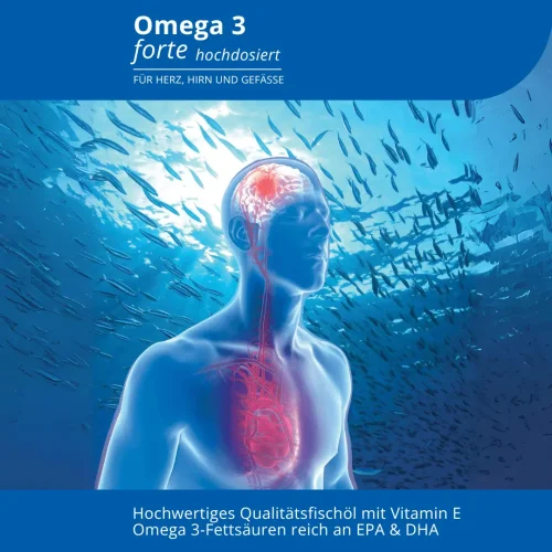 Grafische Darstellung der positiven Wirkung auf Gehirn und Herz-Kreislauf durch Omega-3 forte von EVOLUTION International