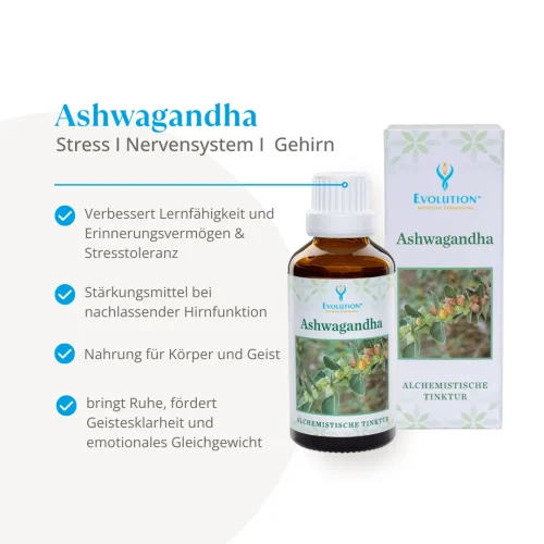 Abbildung des Produkts Ashwagandha Tinktur von EVOLUTION International und Auflistung der gesundheitlichen Vorteile bei Stress, für das Nervensystem und das Gehirn
