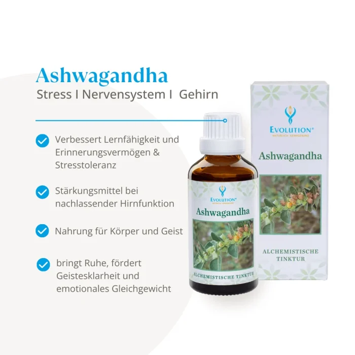 Abbildung des Produkts Ashwagandha Tinktur von EVOLUTION International und Auflistung der gesundheitlichen Vorteile bei Stress, für das Nervensystem und das Gehirn