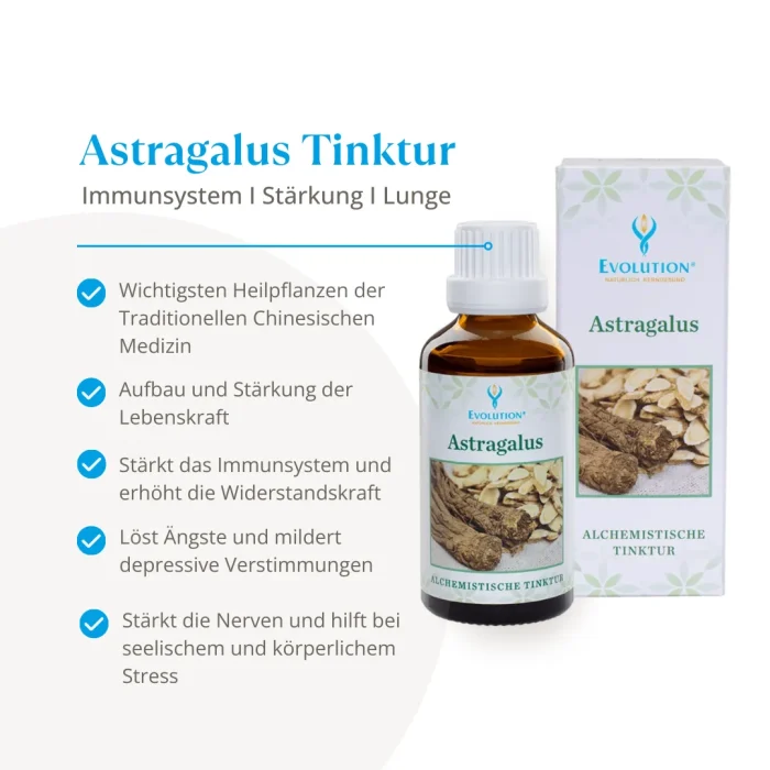 Astragalus Tinktur - Image 2
