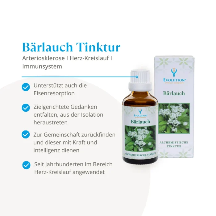 Bärlauch Tinktur - Image 2