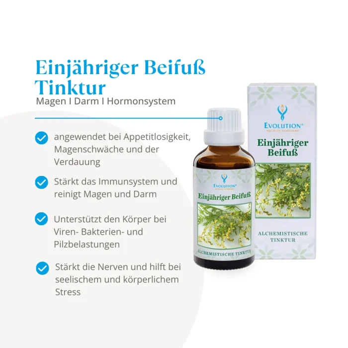 Beifuß Tinktur - einjährig - Image 2
