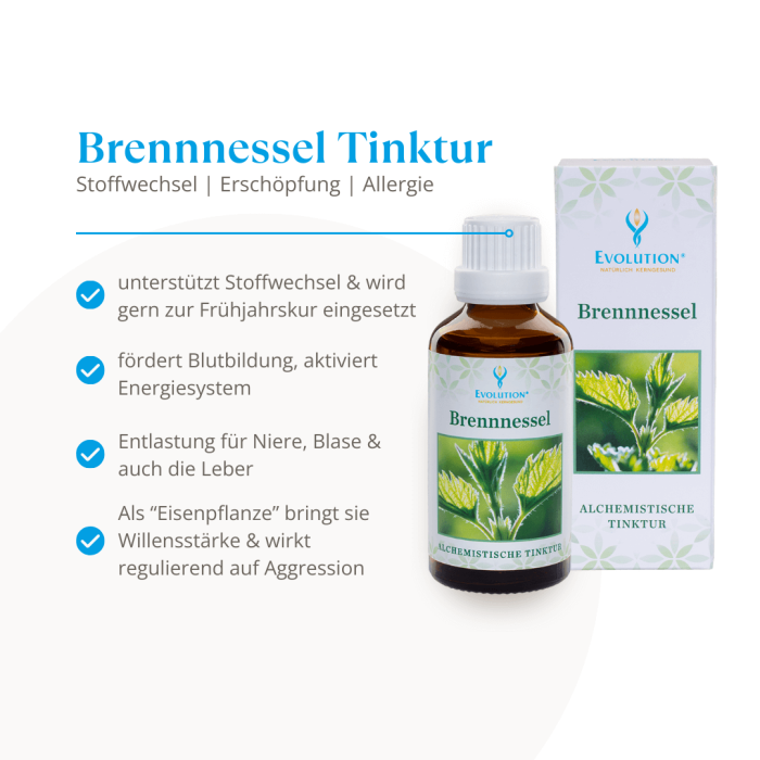 Brennnessel Tinktur - Image 2
