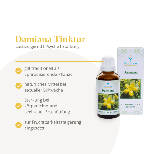 Abbildung des Produkts Damiana Tinktur von EVOLUTION International und Auflistung der gesundheitlichen Vorteile für Luststeigerung, Psyche und Stärkung