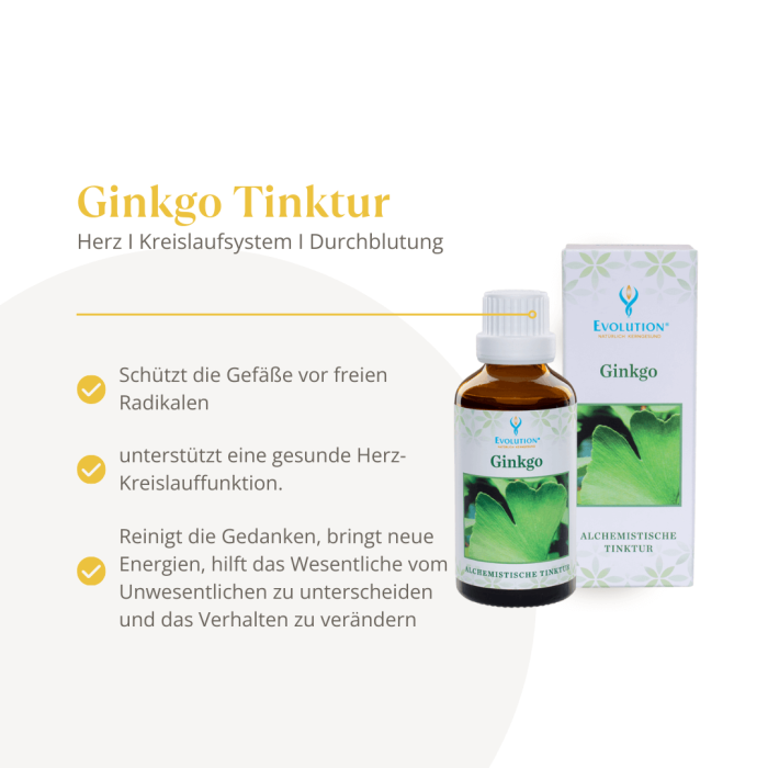 Ginkgo Tinktur - Image 2