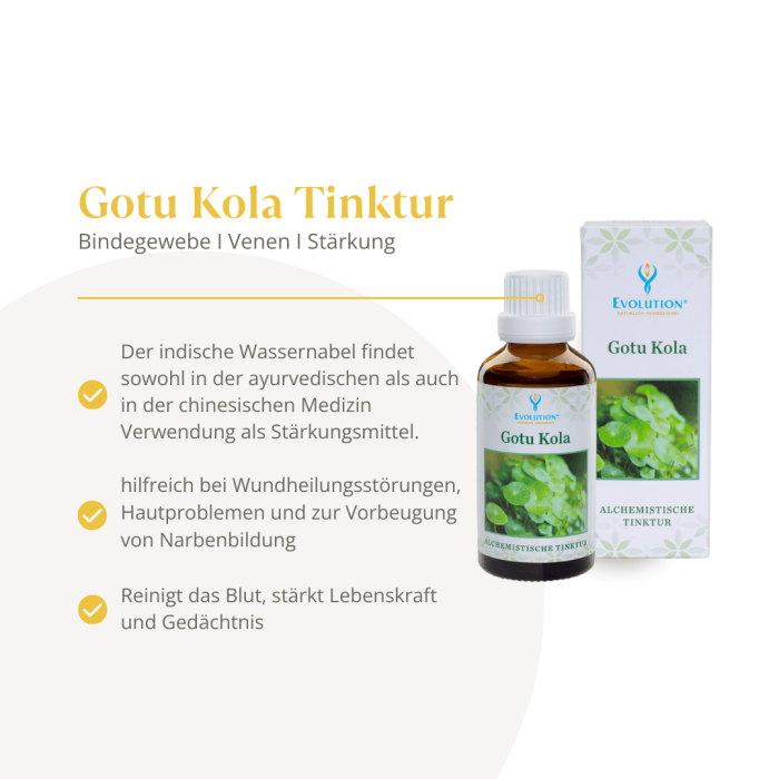 Gotu Kola Tinktur - Image 2