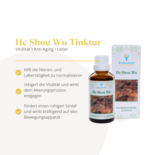 Abbildung des Produkts "He Shou Wu Tinktur" von EVOLUTION International, das in einer kleinen, braunen Glasflasche mit weißem Verschluss abgefüllt wird