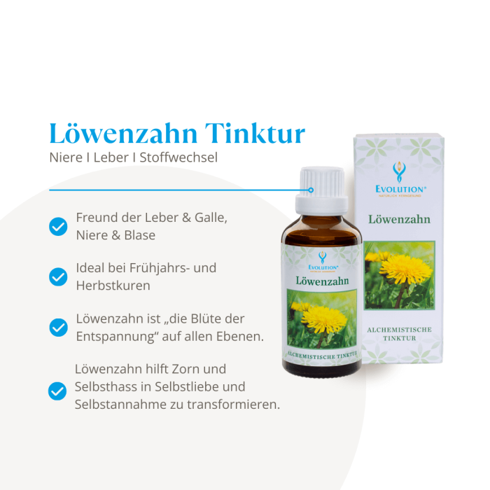 Löwenzahn Tinktur - Image 2