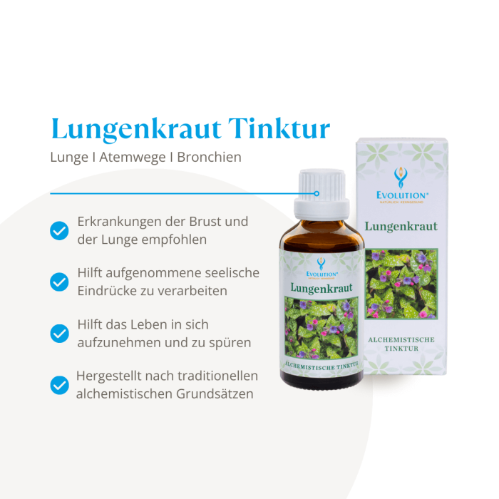 Lungenkraut Tinktur - Image 2