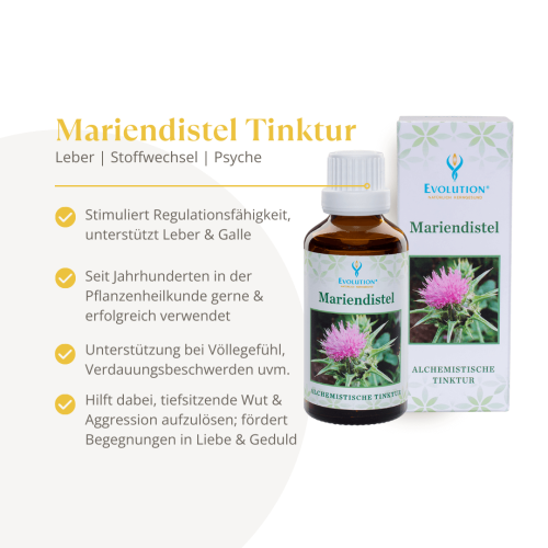 Mariendistel Tinktur