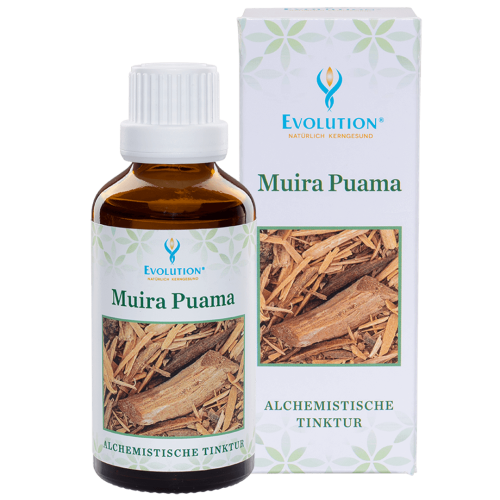 Abbildung des Produkts "Muira Puama Tinktur" von EVOLUTION International, das in einer kleinen, braunen Glasflasche mit weißem Verschluss abgefüllt wird