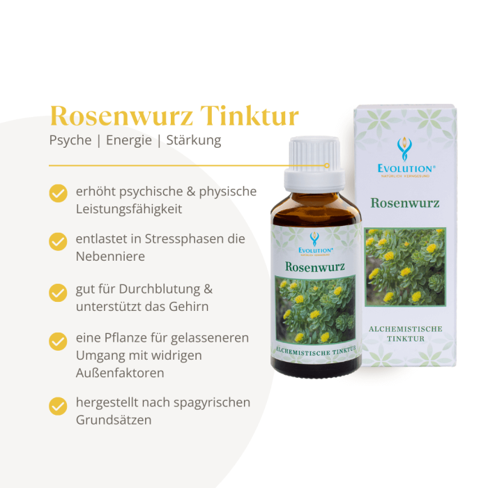 Rosenwurz Tinktur - Image 2