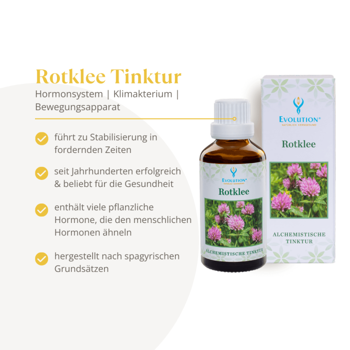 Rotklee Tinktur - Image 2