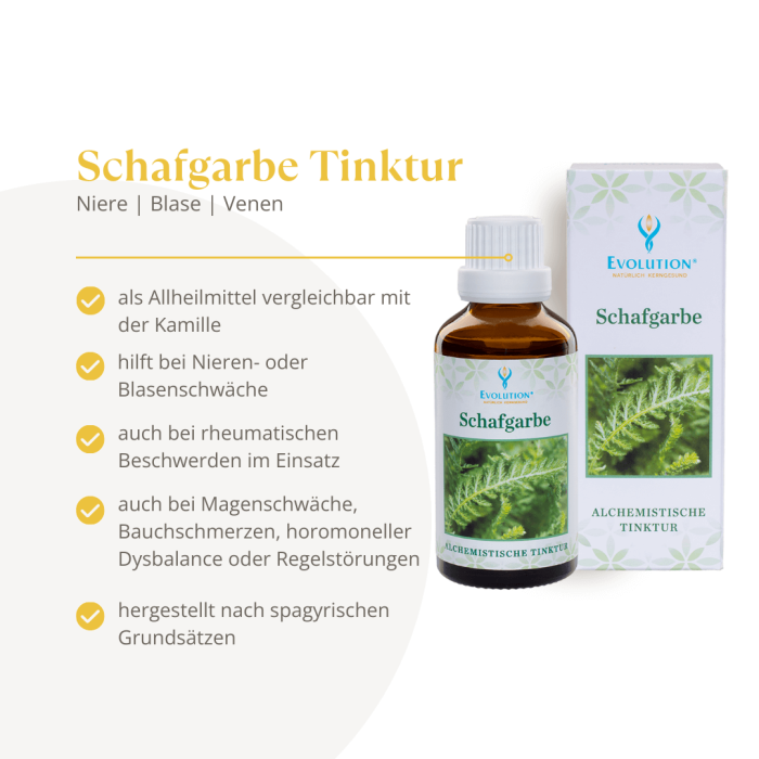 Schafgarbe Tinktur - Image 2