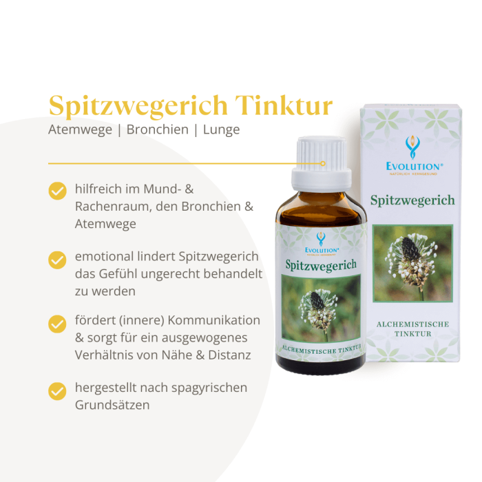 Spitzwegerich Tinktur - Image 2