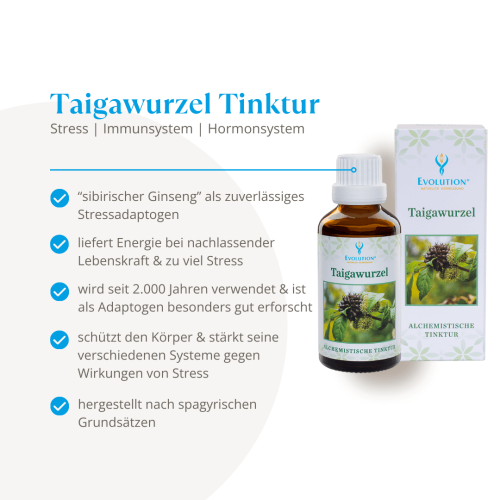 Abbildung des Produkts Taigawurzel Tinktur von EVOLUTION International und Auflistung der gesundheitlichen Vorteile bei Stress, für das Immunsystem und das Hormonsystem