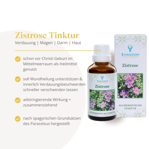 Abbildung des Produkts "Zistrose Tinktur" von EVOLUTION International und Auflistung der gesundheitlichen Vorteile für die Verdauung, Magen, Darm und die Haut.