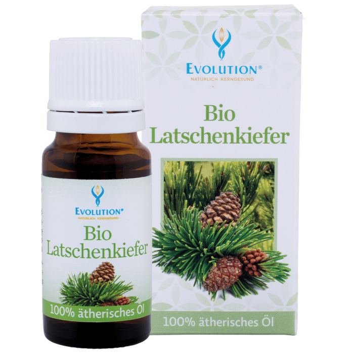 Bio Latschenkiefer ätherisches Öl