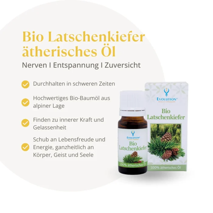 Bio Latschenkiefer ätherisches Öl - Image 2