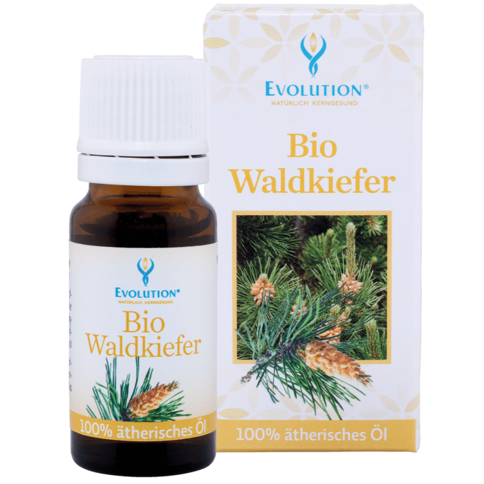 Bio Waldkiefer ätherisches Öl