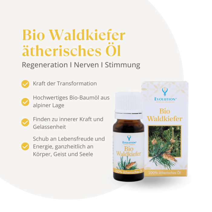 Bio Waldkiefer ätherisches Öl - Image 2