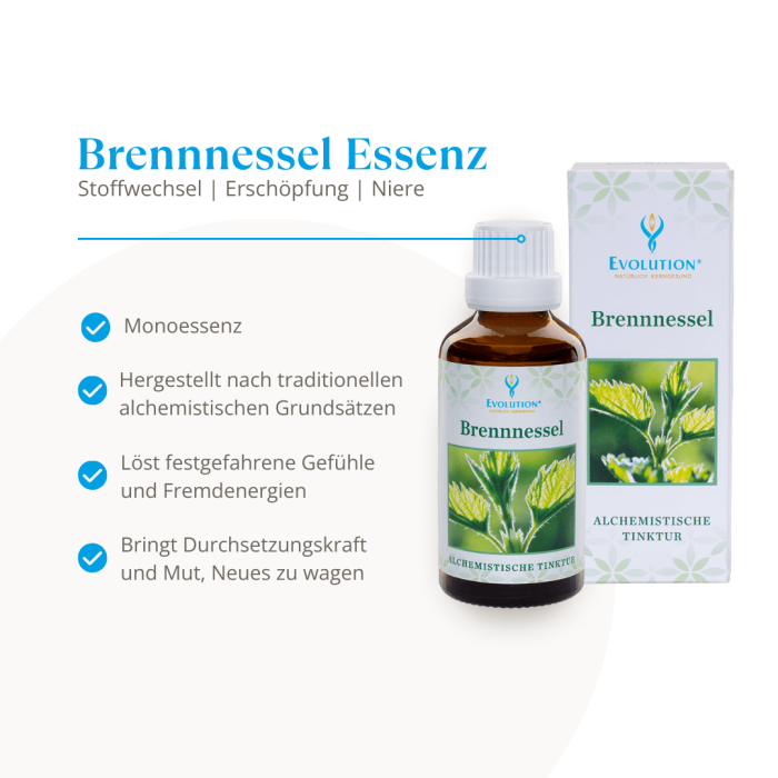 Brennnessel Essenz - Image 2