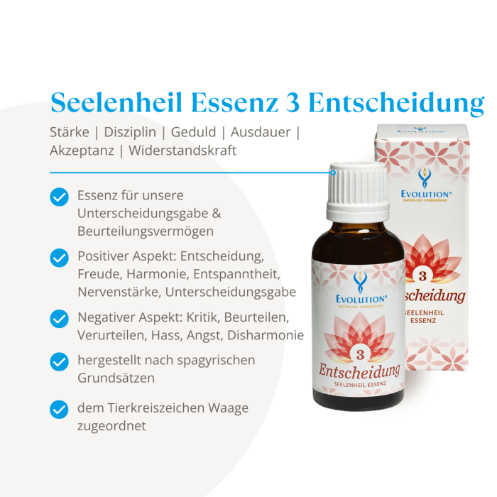 Seelenheil Essenz 3 Entscheidung - Image 2