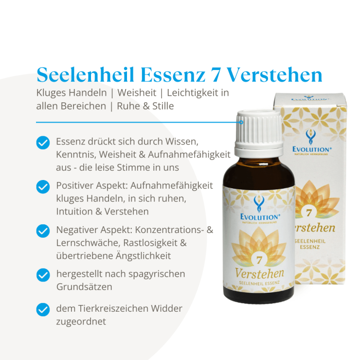 Seelenheil Essenz 7 Verstehen - Image 2