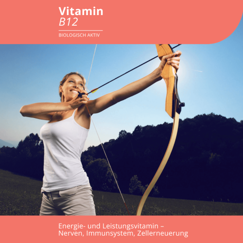 Grafische Darstellung einer jungen Bogenschützin, die ihr Ziel fest im Auge hat. Sie steht für Energie und Leistung, Nerven, Immunsystem und Zellerneuerung - und das in Zusammenhang mit dem Produkt "Vitamin B12" von EVOLUTION International