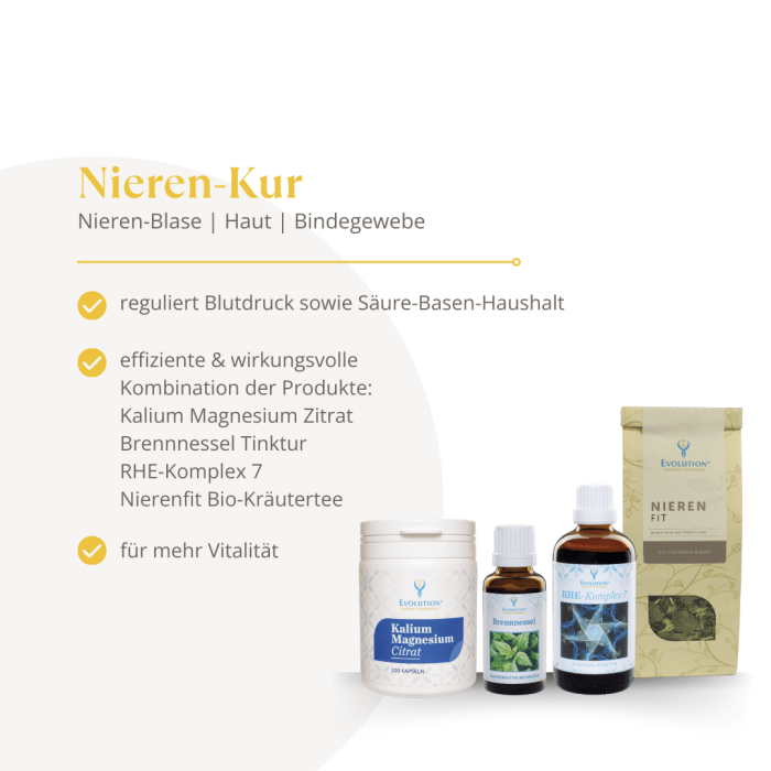 Nieren-Kur - Image 2