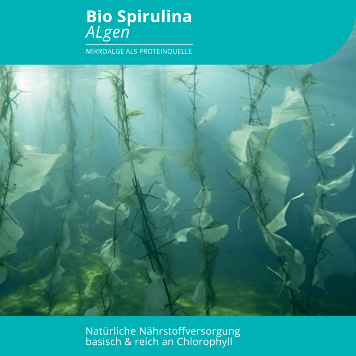 Bio Spirulina Algen - Image 2